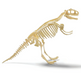Brainstorm Toys - T-rex Excavation Kit