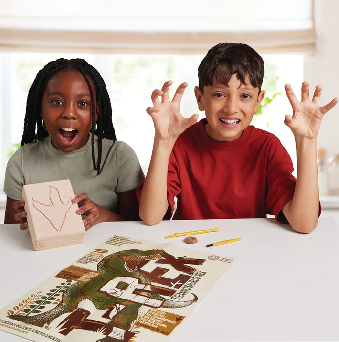 Brainstorm Toys - T-rex Excavation Kit