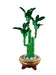 Lego 10344 Lucky Bamboo Botanical Collection