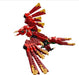 Lego 31161 Creator Medieval Dragon