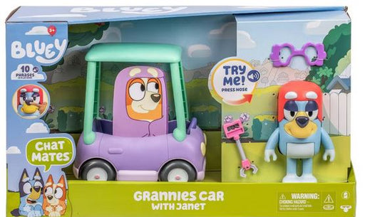 Bluey Grannies Car With Janet