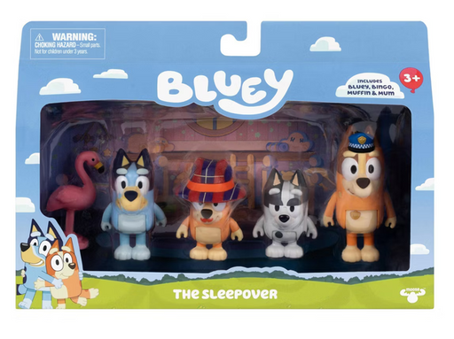 Bluey S15 - The Sleepover