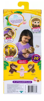 Little Live Pets My Baby Monkey Minis Asstd