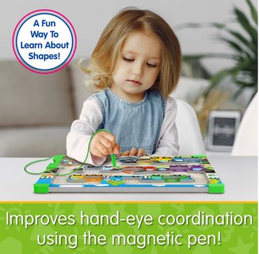 Sort & Learn Magnetic Shapes Puzzle