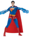 Superman 6" Feature Figure Assorted
