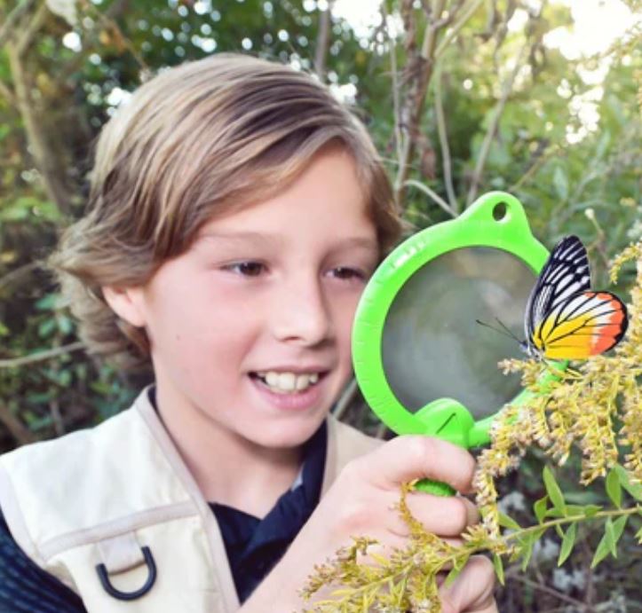 Wild Adventure Magnifying Glass 