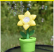 Maxx Bubbles - Bubble Blooms Assorted