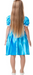 Disney Alice In Wonderland Costume Size  Medium 5-6 Yrs 