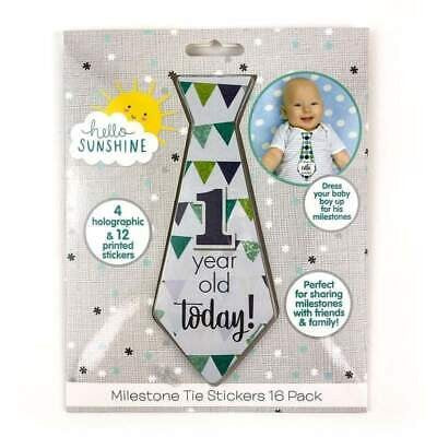 Hello Sunshine Milestone Tie Stickers 16 Piece