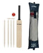 Go Play Wooden Cricket Set Size 3