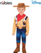 Toy Story Dlx Woody Dressup 3-5