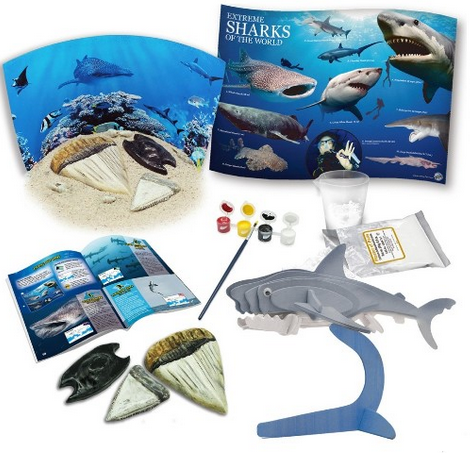 Auatralian Geographic Extreme Sharks Of The World