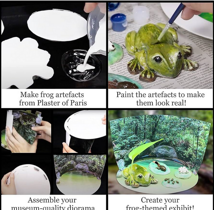 Ustralian Geographic Amazing & Bizarre Frogs Of The World