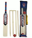 Slasher 600 Cricket Set