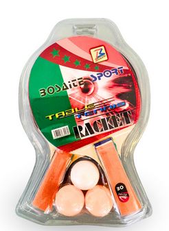Table Tennis Playset