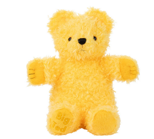 Play School Big Ted Plush