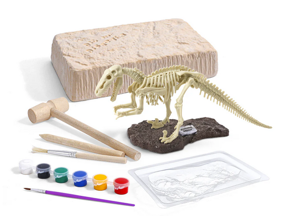 Dig & Dsicover Excavate Velociraptor Kit