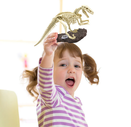 Dig & Dsicover Excavate Velociraptor Kit