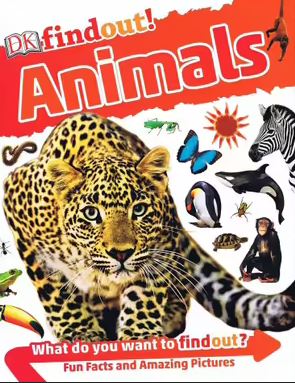 Dk Findout! Animals Picture Book