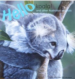 Hello Koala  Australian Animals Picture Book
