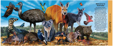 Discover The Animals Of Australia (neon Edition)