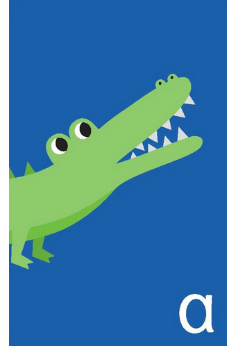 Little Genius Abc Flash Cards Ages:3+