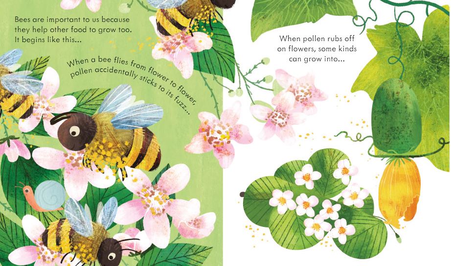 Peep Inside The Beehive Childrens Book